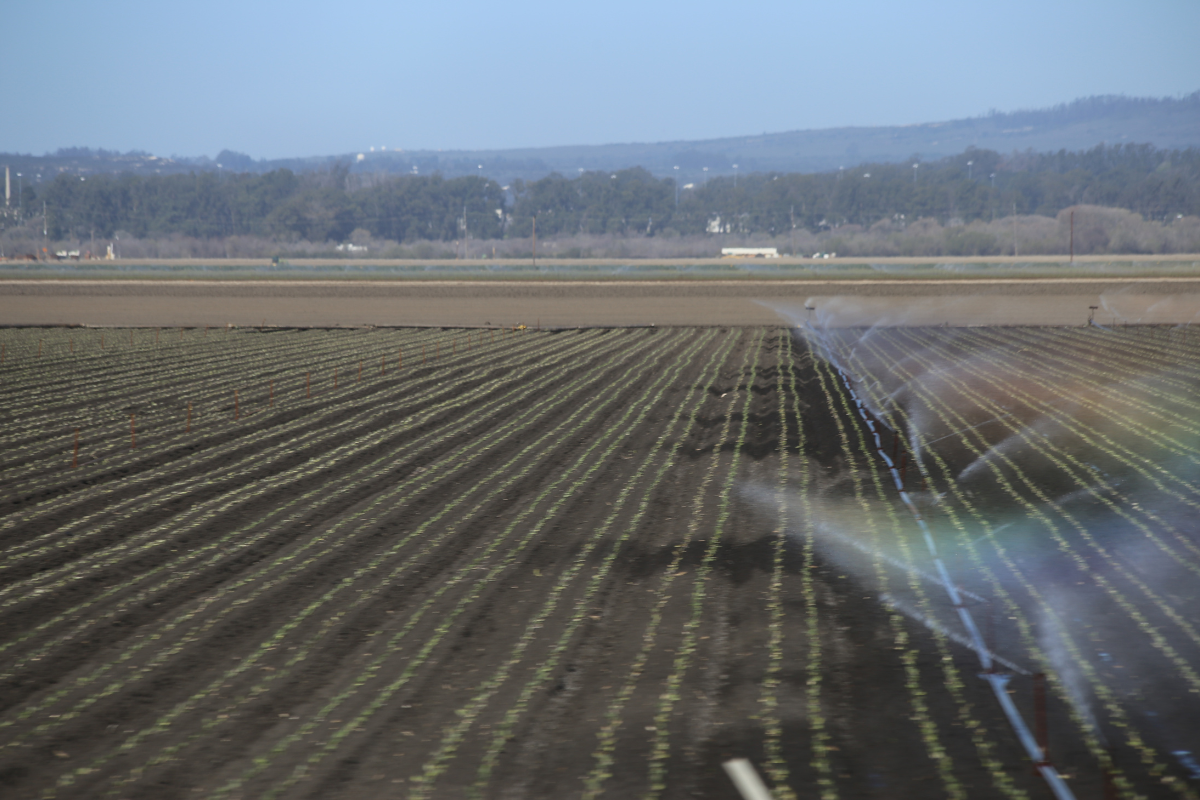 Aerial image of California farm irrigation.